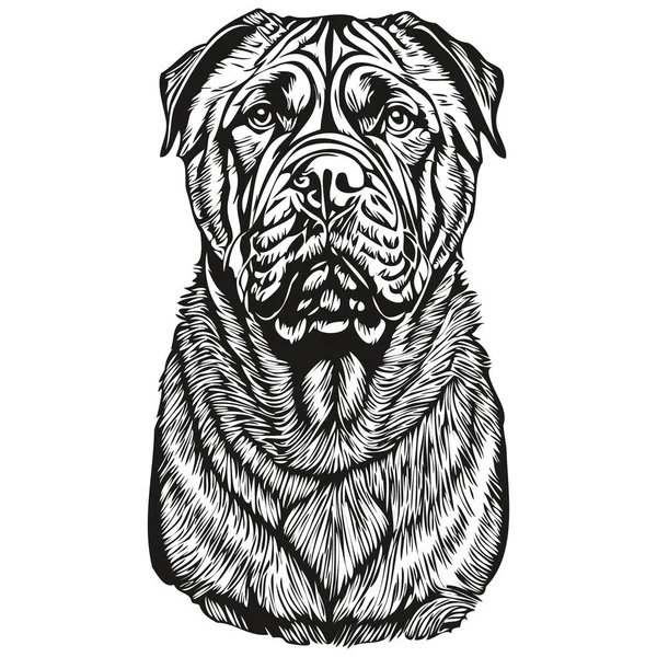 斗牛士犬手绘标志画黑白线条艺术宠物画图逼真的品种宠物 — 图库矢量图片