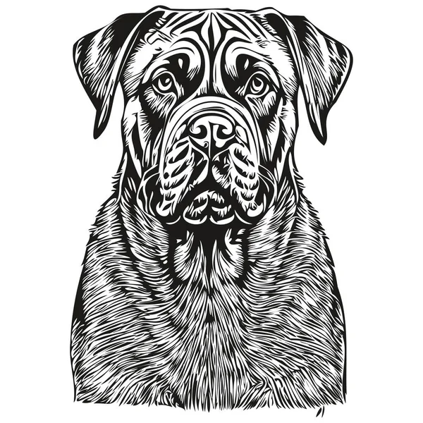 Bullmastiff Cão Mão Desenhada Logotipo Desenho Preto Branco Linha Arte — Vetor de Stock