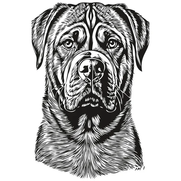 Bullmastiff Cane Disegnato Mano Logo Disegno Bianco Nero Linea Arte — Vettoriale Stock