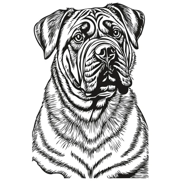 ブルマスチフ犬インクスケッチ図面 ヴィンテージタトゥーまたはTシャツプリント黒と白のベクトル — ストックベクタ
