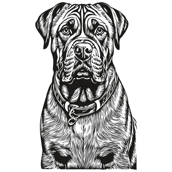 Bullmastiff Cão Isolado Desenho Fundo Branco Cabeça Pet Line Ilustração — Vetor de Stock