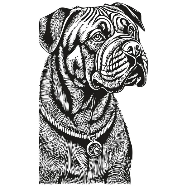 Bullmastiff Cão Tinta Desenho Esboço Tatuagem Vintage Shirt Impressão Preto —  Vetores de Stock