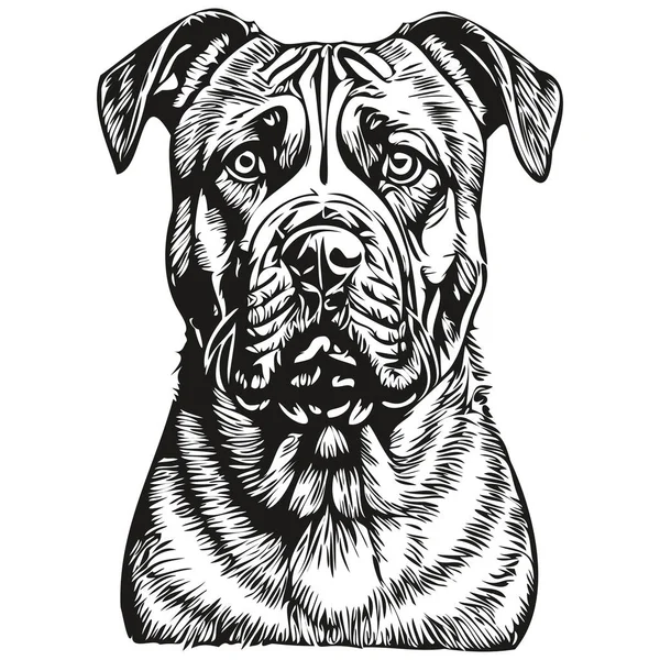 Bullmastiff Hond Geïsoleerde Tekening Witte Achtergrond Hoofd Huisdier Lijn Illustratie — Stockvector