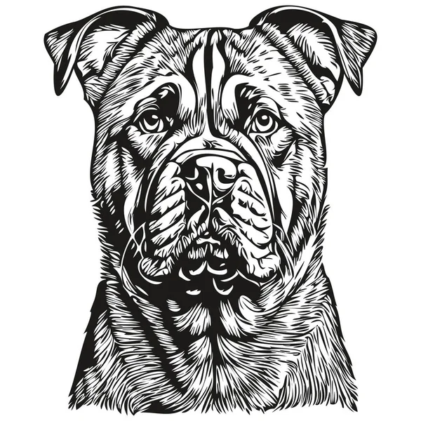 Bullmastiff Dog Line Illustration Black White Ink Sketch Face Portrait — Stock Vector