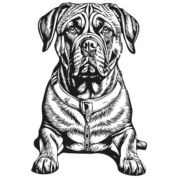 斗牛士犬标志载体黑白相间 老旧可爱的狗头刻有逼真的品种宠物 — 图库矢量图片