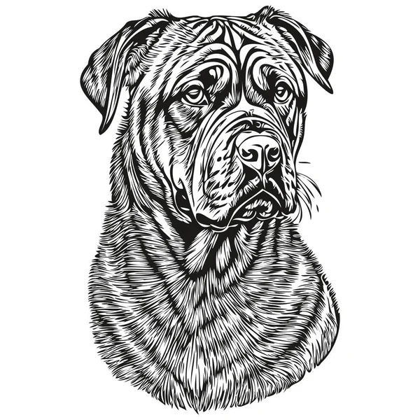 斗牛犬标志矢量黑白 老旧可爱的狗头雕刻 — 图库矢量图片