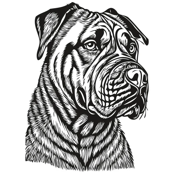 Bullmastiff Hund Kontur Penna Teckning Konstverk Svart Tecken Vit Bakgrund — Stock vektor
