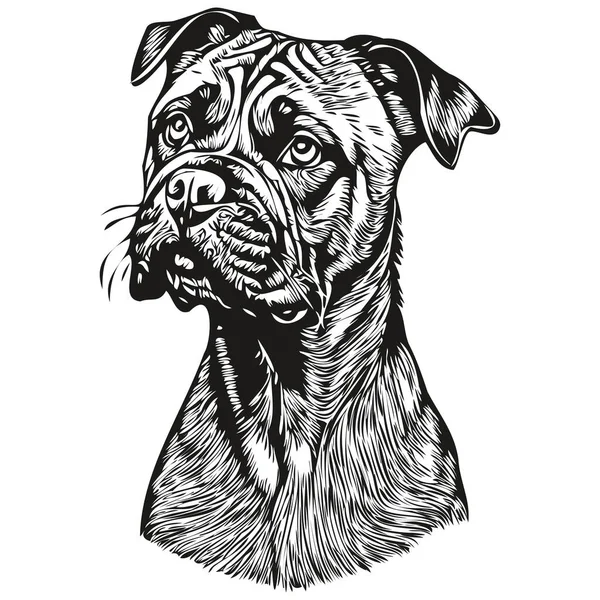 Bullmastiff Chien Contour Crayon Dessin Illustration Caractère Noir Sur Fond — Image vectorielle