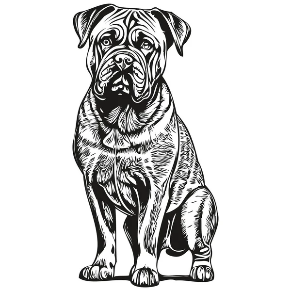 Bullmastiff Hund Penna Hand Rita Vektor Kontur Illustration Husdjur Ansikte — Stock vektor
