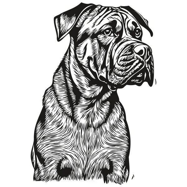 Bullmastiff Cão Pet Silhueta Animal Linha Ilustração Mão Desenhado Preto — Vetor de Stock