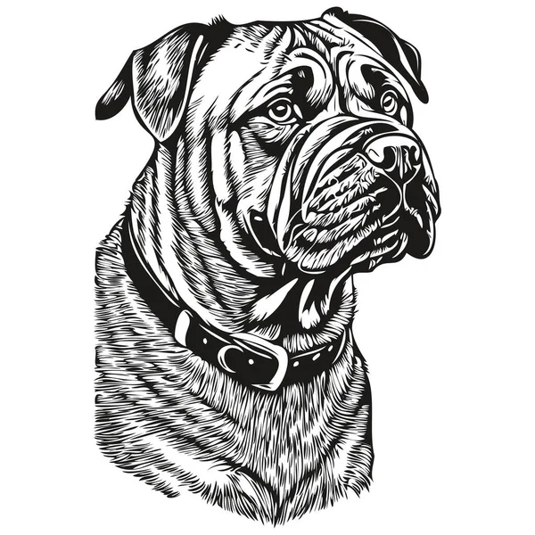 Bullmastiff Hond Huisdier Silhouet Dierlijke Lijn Illustratie Met Hand Getekend — Stockvector