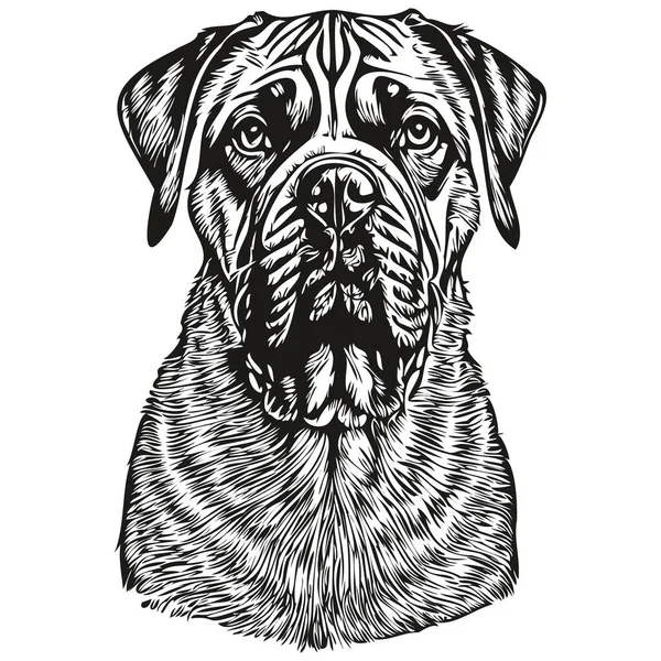 Bullmastiff Cão Pet Esboço Ilustração Preto Branco Gravura Vetor — Vetor de Stock
