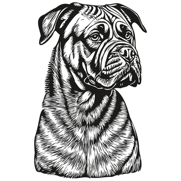 Bullmastiff Cão Retrato Vetor Desenho Mão Animal Para Tatuagem Tshirt —  Vetores de Stock