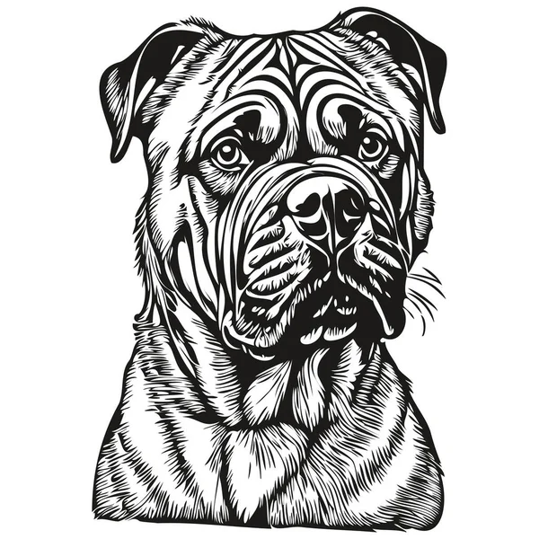 Bullmastiff Cão Realista Pet Ilustração Mão Desenho Rosto Preto Branco — Vetor de Stock