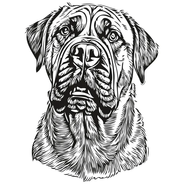 斗牛犬写实铅笔画中的矢量 线条画中的狗脸黑白相间 — 图库矢量图片