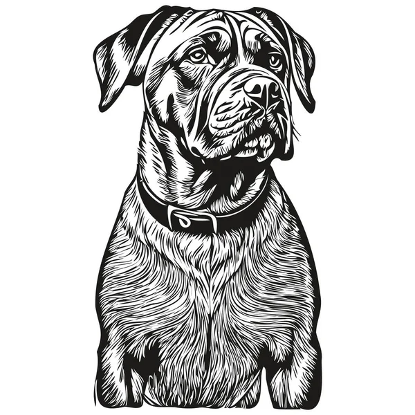 Bullmastiff Cão Silhueta Pet Personagem Clip Arte Vetor Animais Estimação — Vetor de Stock