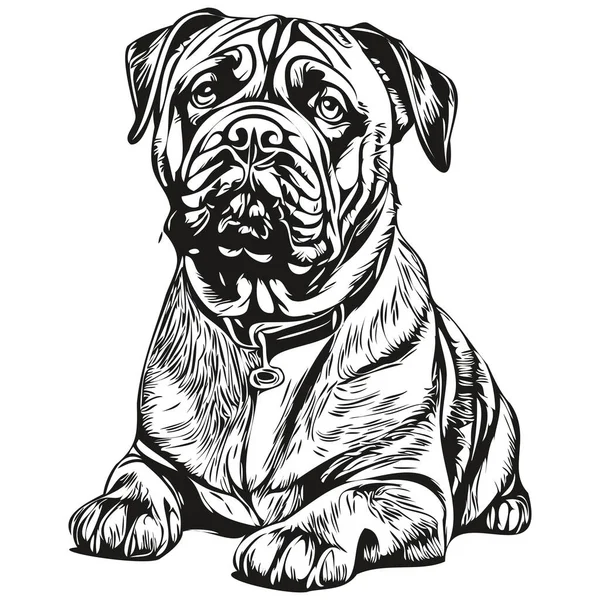 Бульмастифф Собака Реалістичний Малюнок Олівцем Векторі Лінія Мистецтва Ілюстрація Собаки — стоковий вектор