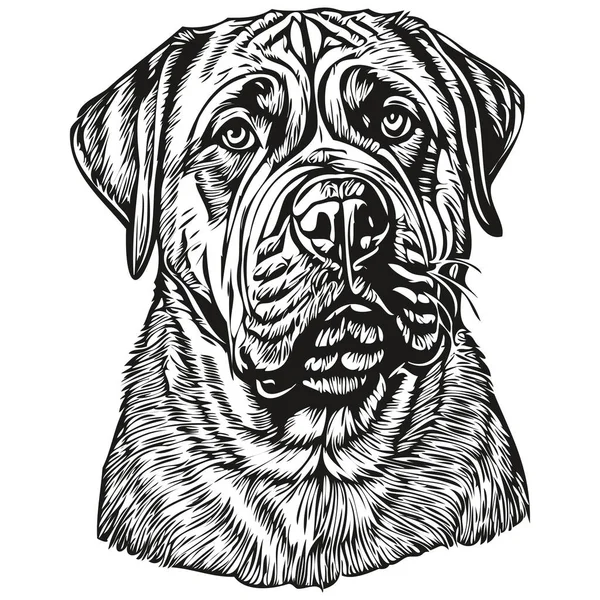 Бульмастиф Собака Вектор Лица Рисунок Портрет Эскиз Винтажный Стиль Прозрачный — стоковый вектор
