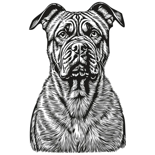 Bullmastiff Собака Футболка Отпечаток Черно Белый Милый Смешной Контур Рисунок — стоковый вектор