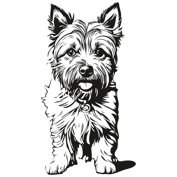 Cairn Terrier Hund Svart Ritning Vektor Isolerad Ansikte Målning Skiss — Stock vektor