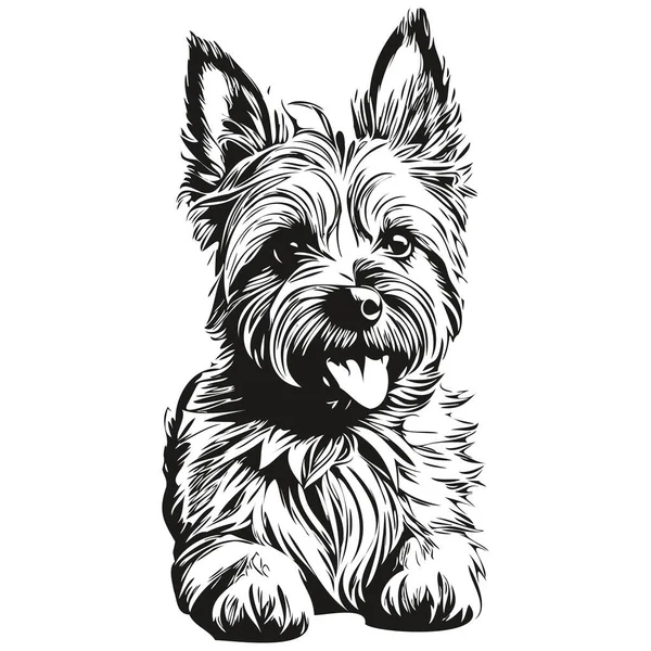 Cairn Terrier Chien Noir Dessin Vecteur Isolé Visage Peinture Croquis — Image vectorielle