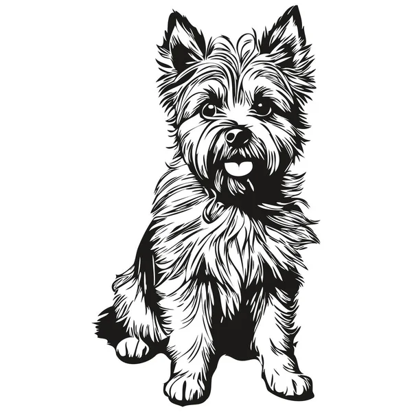 Cairn Terrier Chien Noir Dessin Vecteur Isolé Visage Peinture Croquis — Image vectorielle