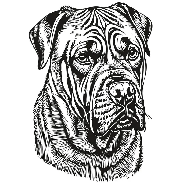 Бульмастиф Собака Векторний Малюнок Обличчя Портрет Ескіз Вінтажного Стилю Прозорого — стоковий вектор