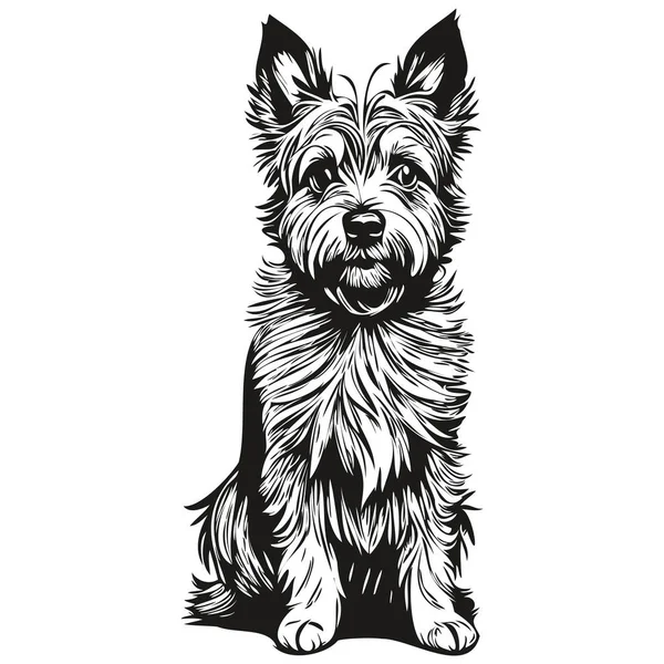凯恩斯 特里埃犬种画线 剪贴画 动物手绘矢量 黑白逼真宠物剪影 — 图库矢量图片