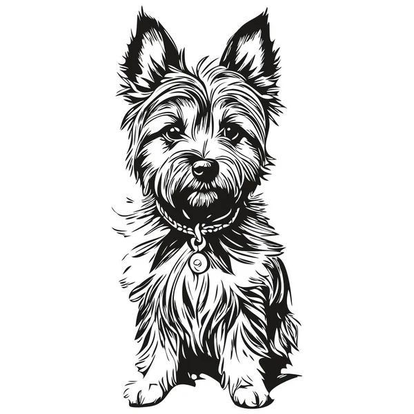 Cairn Terrier Chien Race Ligne Dessin Clip Art Animal Dessin — Image vectorielle