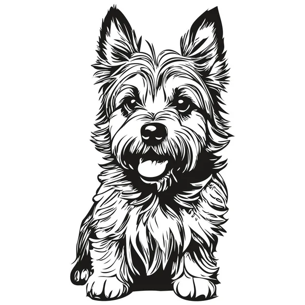 Cairn Terrier Hund Tecknad Ansikte Bläck Porträtt Svart Och Vitt — Stock vektor
