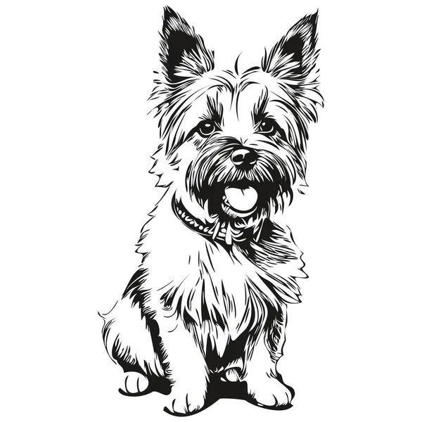 Cairn Terrier Cão Desenho Animado Rosto Tinta Retrato Desenho Esboço —  Vetores de Stock