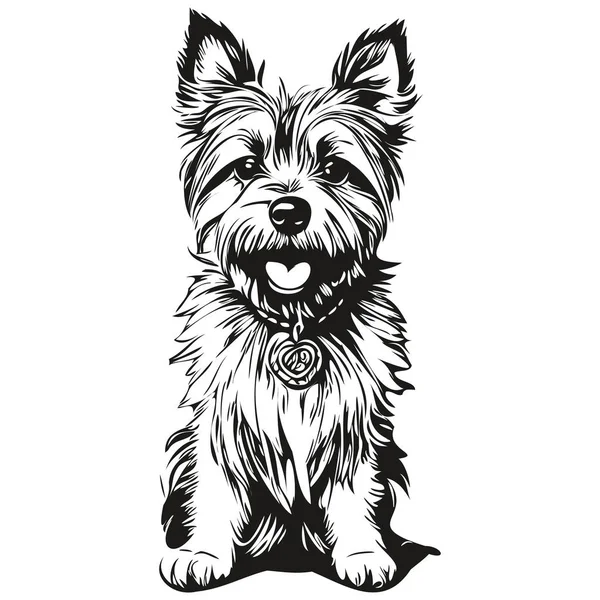Cairn Terrier Perro Grabado Vector Retrato Dibujo Cara Vendimia Blanco — Vector de stock