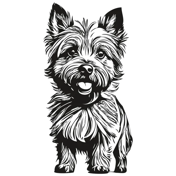 Cairn Terrier Cara Perro Vector Retrato Esquema Divertido Mascota Ilustración — Vector de stock