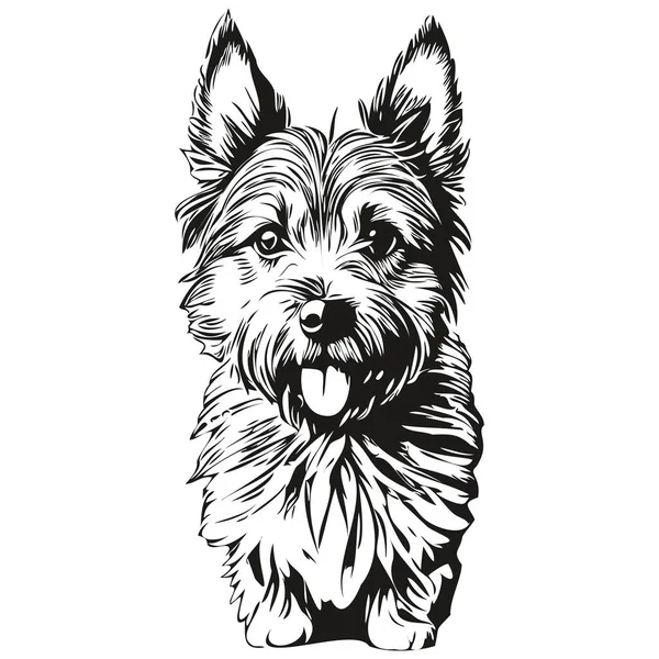 Cairn Terrier Hund Ansikte Vektor Porträtt Rolig Kontur Husdjur Illustration — Stock vektor