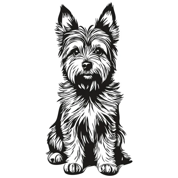 Cairn Terrier Pies Twarz Wektor Portret Zabawny Zarys Zwierzę Ilustracja — Wektor stockowy