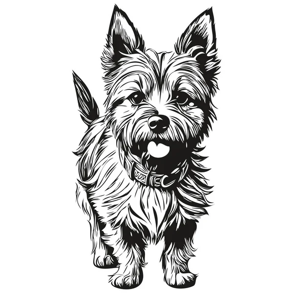 凯恩斯 特里耶的狗手绘标识 画黑白线条的艺术宠物 描绘现实的宠物轮廓 — 图库矢量图片