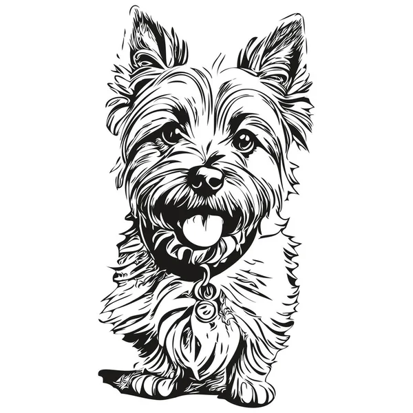 Cairn Terrier Cão Rosto Vetor Retrato Engraçado Esboço Animal Estimação — Vetor de Stock