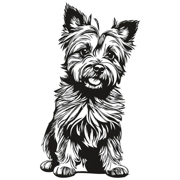 Cairn Terrier Perro Dibujado Mano Logotipo Dibujo Blanco Negro Línea — Vector de stock
