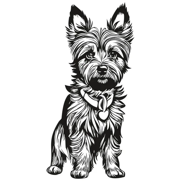 Cairn Terrier Hund Hand Dras Logotyp Ritning Svart Och Vit — Stock vektor