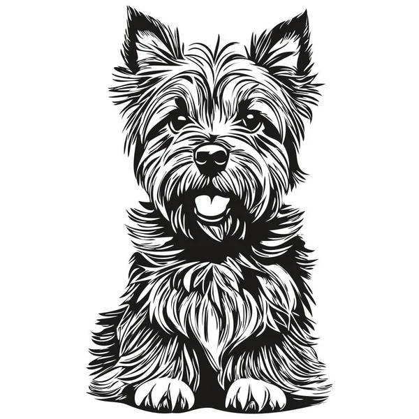 Cairn Terrier Cão Cabeça Linha Desenho Vetor Desenhado Mão Ilustração —  Vetores de Stock