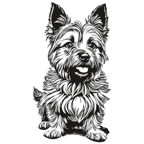 Cairn Terrier Cão Isolado Desenho Fundo Branco Cabeça Pet Line — Vetor de Stock