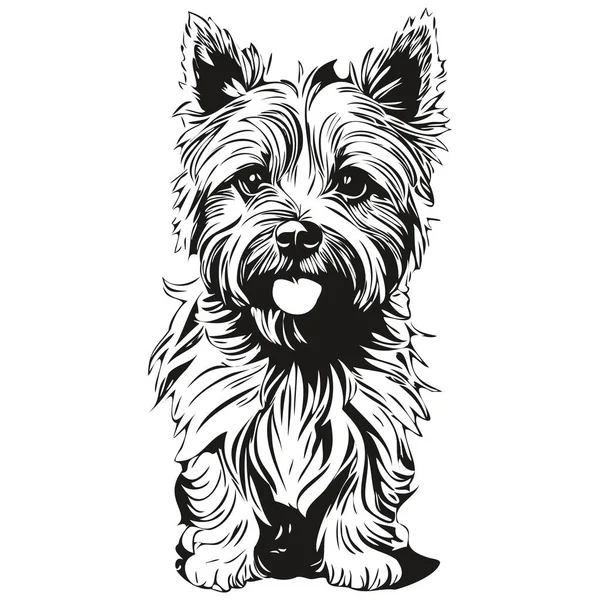 Cairn Terrier Cão Isolado Desenho Fundo Branco Cabeça Pet Linha — Vetor de Stock