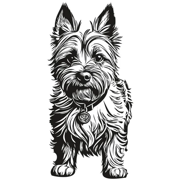 Cairn Terrier Línea Perro Ilustración Retrato Cara Boceto Tinta Blanco — Vector de stock