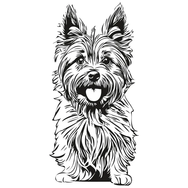 Cairn Terrier Ilustración Línea Perro Retrato Cara Boceto Tinta Blanco — Vector de stock