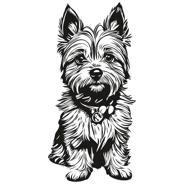 Keyn Terrier狗标识向量黑白 老旧可爱的狗头雕刻 — 图库矢量图片