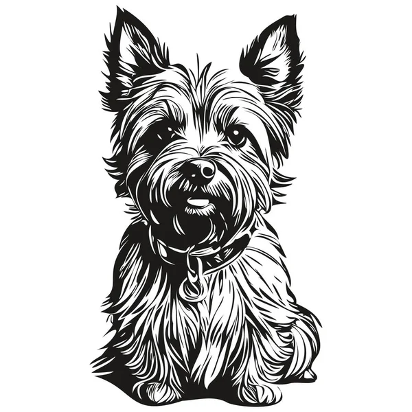 Cairn Terrier Σκυλί Περίγραμμα Μολύβι Σχέδιο Τέχνης Μαύρο Χαρακτήρα Λευκό — Διανυσματικό Αρχείο