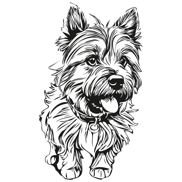 ケルンテリア犬鉛筆手描きベクトル アウトラインイラストペットの顔のロゴ黒と白の現実的な品種のペット — ストックベクタ