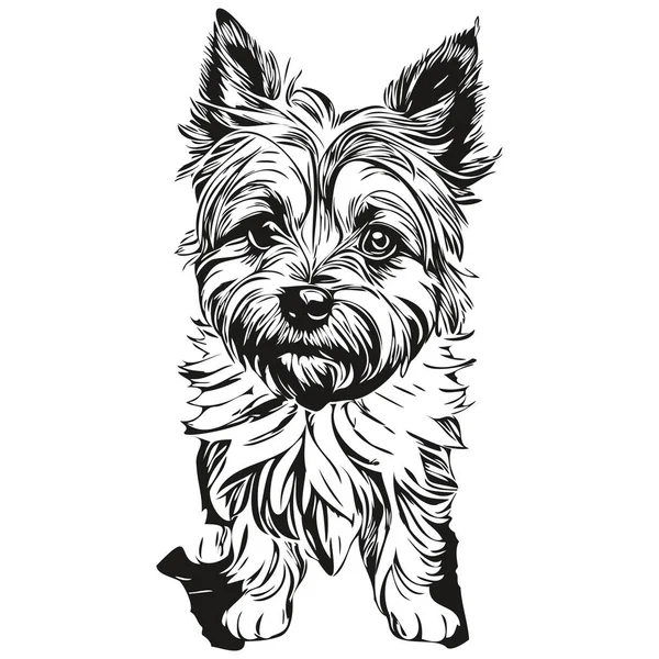 凯恩斯犬笔画矢量 勾勒出宠物脸标识黑白逼真的宠物轮廓 — 图库矢量图片