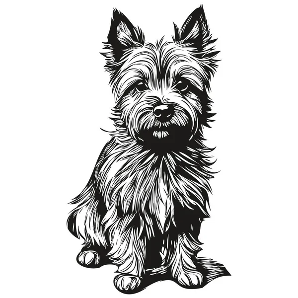 Cairn Terrier Hund Penna Hand Rita Vektor Kontur Illustration Husdjur — Stock vektor