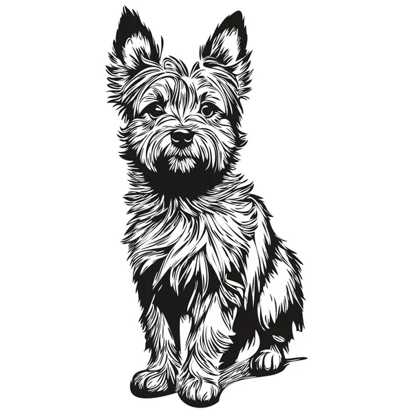 Cairn Terrier Cane Matita Mano Disegno Vettore Contorno Illustrazione Pet — Vettoriale Stock